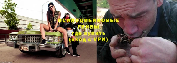 дживик Алексин