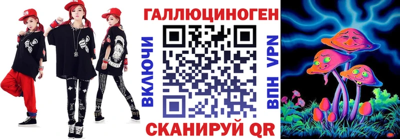 Псилоцибиновые грибы Psilocybine cubensis  Новая Ладога 